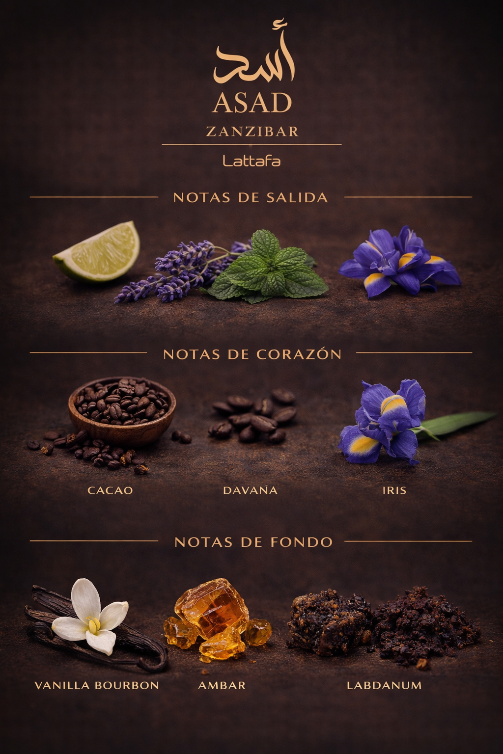 Asad Zanzibar Lattafa 100ml
